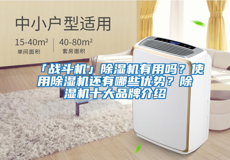 「戰斗機」除濕機有用嗎？使用除濕機還有哪些優勢？除濕機十大品牌介紹