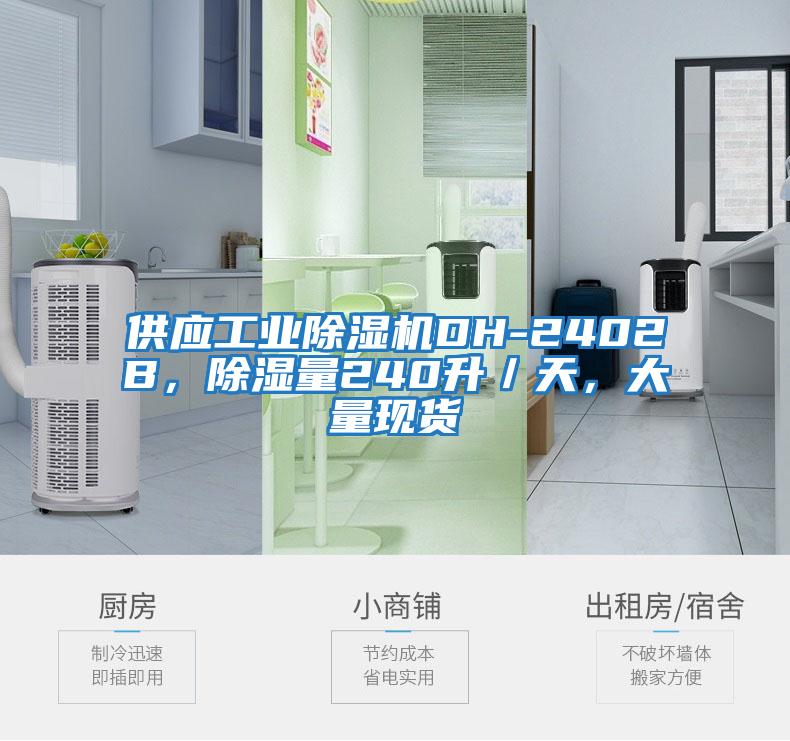 供應(yīng)工業(yè)除濕機(jī)DH-2402B，除濕量240升／天，大量現(xiàn)貨