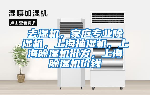 去濕機，家庭專業除濕機，上海抽濕機，上海除濕機批發，上海除濕機價錢
