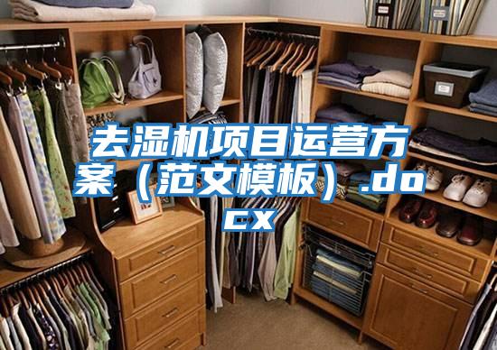 去濕機項目運營方案(范文模板).docx