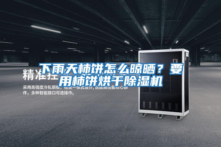 下雨天柿餅怎么晾曬?要用柿餅烘干除濕機