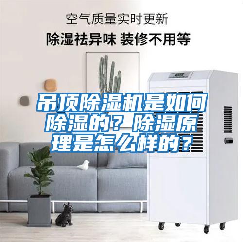 吊頂除濕機是如何除濕的？除濕原理是怎么樣的？