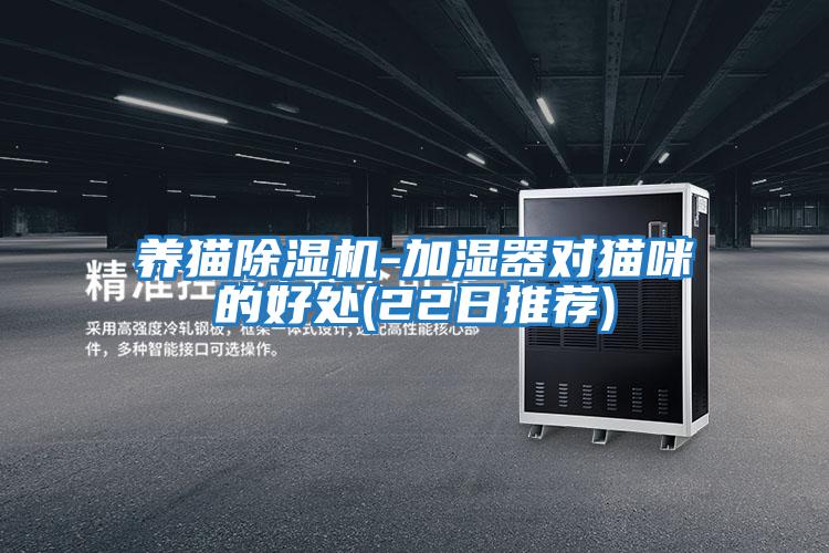 養(yǎng)貓除濕機(jī)-加濕器對貓咪的好處(22日推薦)