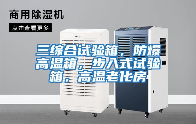 三綜合試驗箱，防爆高溫箱，步入式試驗箱，高溫老化房