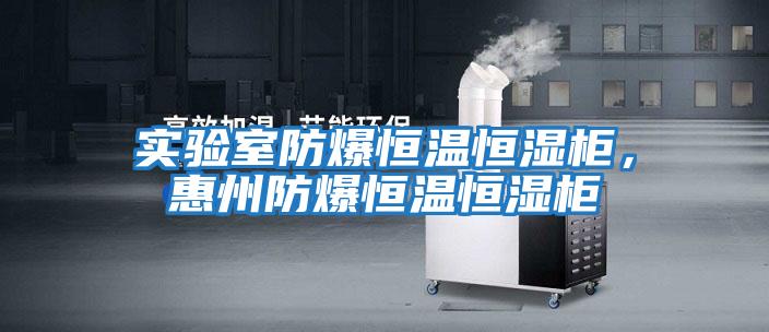 實驗室防爆恒溫恒濕柜，惠州防爆恒溫恒濕柜