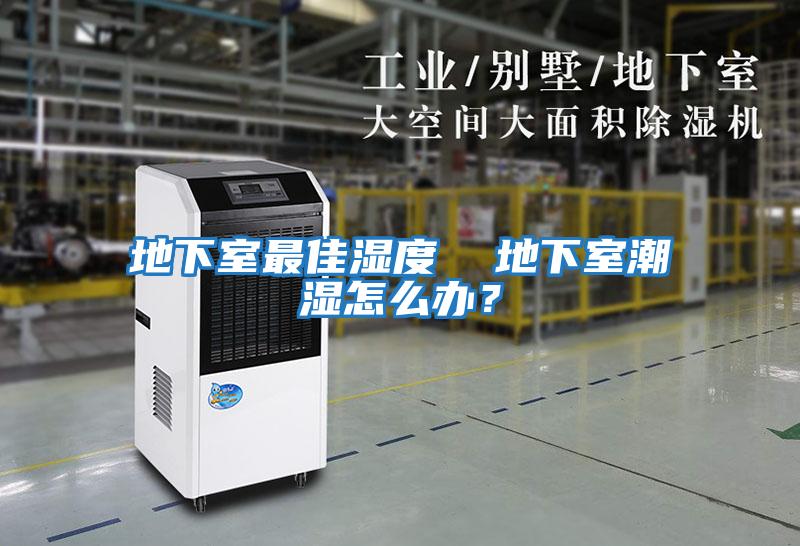 地下室最佳濕度  地下室潮濕怎么辦？