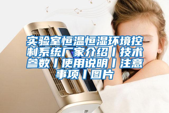 實驗室恒溫恒濕環(huán)境控制系統(tǒng)廠家介紹丨技術參數丨使用說明丨注意事項丨圖片