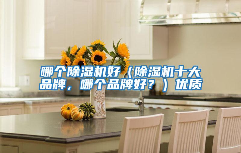 哪個除濕機(jī)好（除濕機(jī)十大品牌，哪個品牌好？）優(yōu)質(zhì)