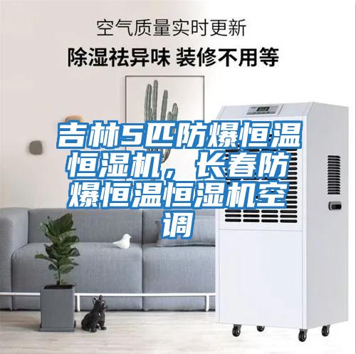 吉林5匹防爆恒溫恒濕機，長春防爆恒溫恒濕機空調(diào)