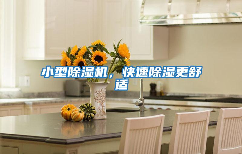 小型除濕機，快速除濕更舒適