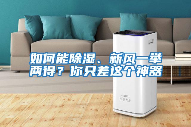 如何能除濕、新風一舉兩得?你只差這個神器