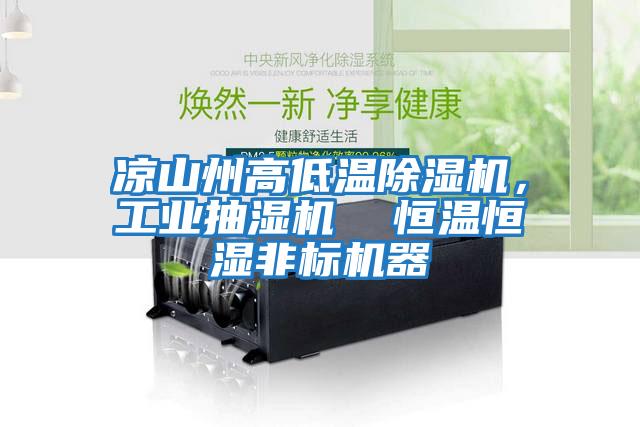 涼山州高低溫除濕機，工業抽濕機  恒溫恒濕非標機器