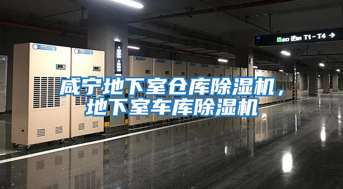 咸寧地下室倉庫除濕機，地下室車庫除濕機