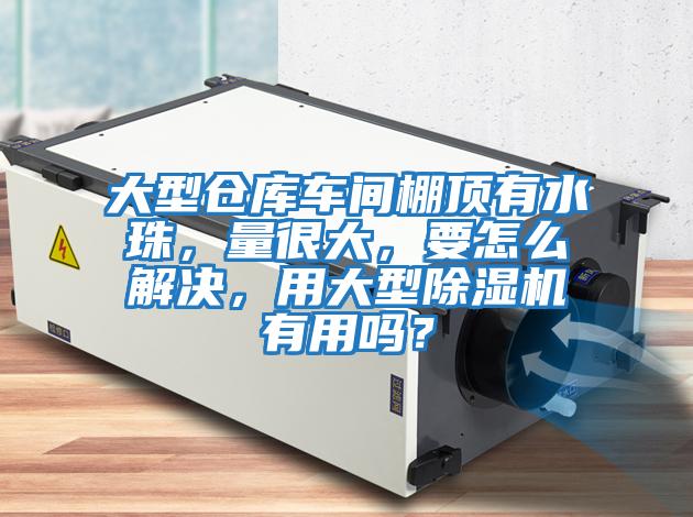 大型倉庫車間棚頂有水珠，量很大，要怎么解決，用大型除濕機有用嗎？