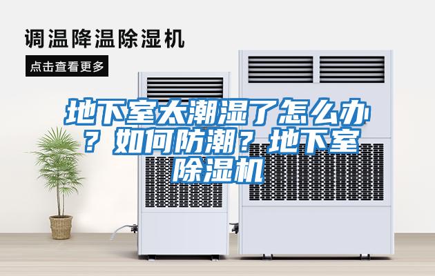 地下室太潮濕了怎么辦?如何防潮?地下室除濕機