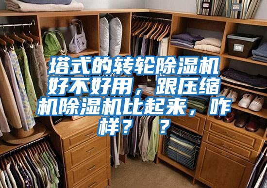 塔式的轉輪除濕機好不好用，跟壓縮機除濕機比起來，咋樣？ ？