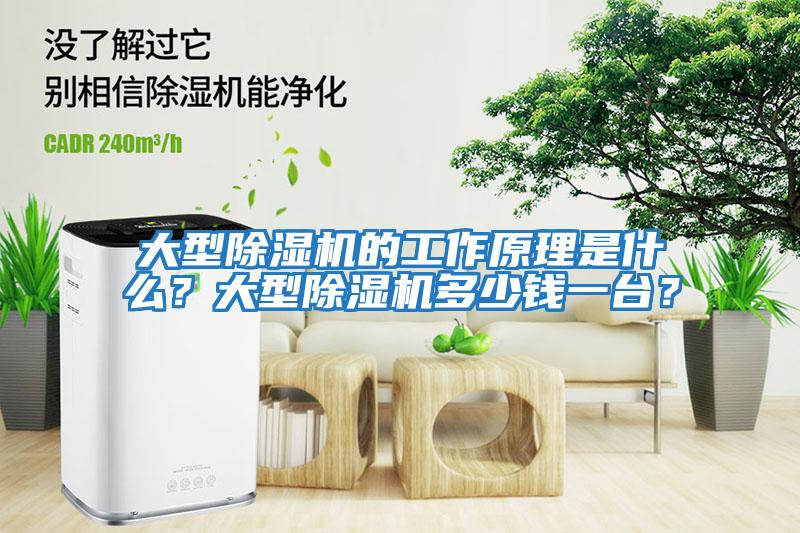 大型除濕機(jī)的工作原理是什么？大型除濕機(jī)多少錢(qián)一臺(tái)？