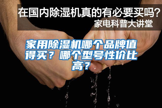 家用除濕機(jī)哪個(gè)品牌值得買(mǎi)？哪個(gè)型號(hào)性價(jià)比高？