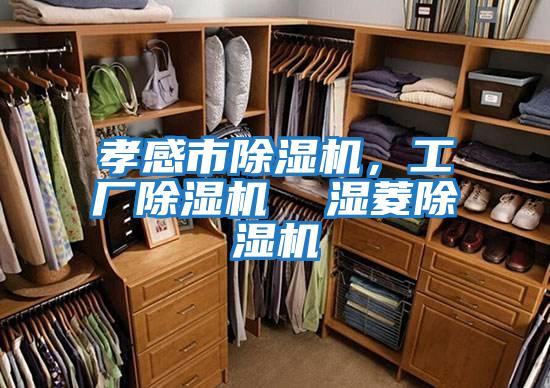 孝感市除濕機，工廠除濕機  濕菱除濕機