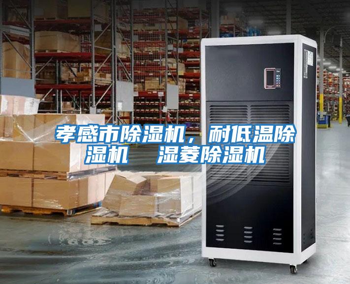 孝感市除濕機，耐低溫除濕機  濕菱除濕機