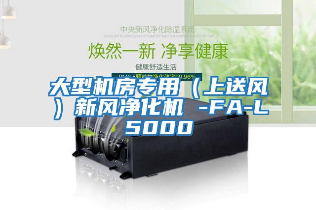 大型機房專用(上送風(fēng))新風(fēng)凈化機 -FA-L5000