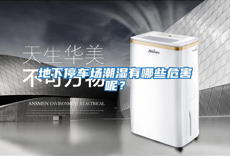 地下停車(chē)場(chǎng)潮濕有哪些危害呢？