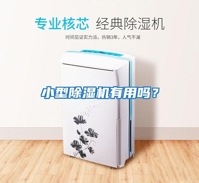 小型除濕機有用嗎？