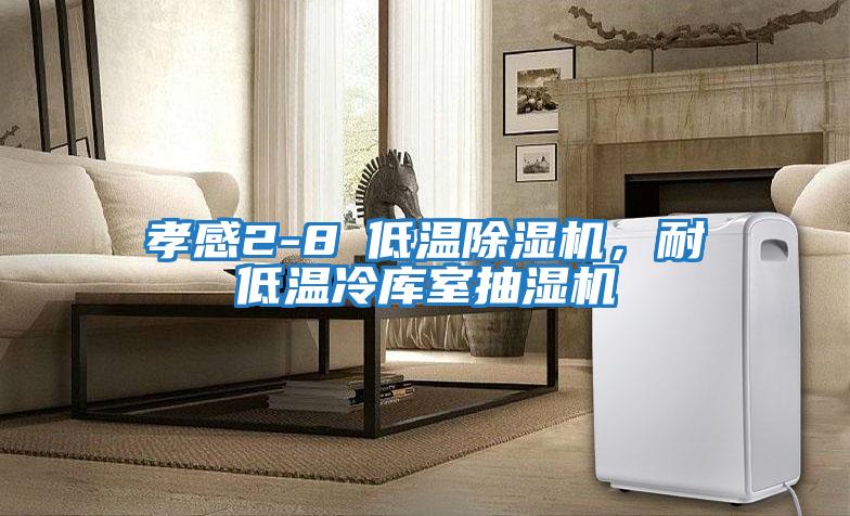 孝感2-8℃低溫除濕機，耐低溫冷庫室抽濕機