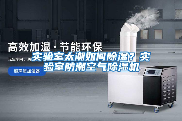 實驗室太潮如何除濕？實驗室防潮空氣除濕機