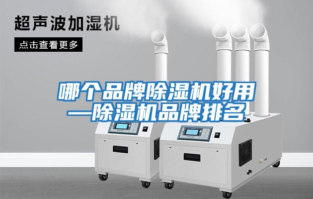 哪個品牌除濕機(jī)好用—除濕機(jī)品牌排名