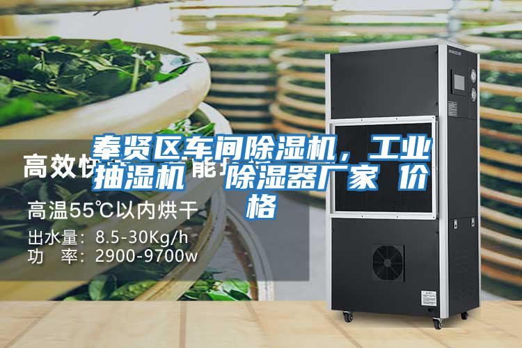奉賢區車間除濕機,工業抽濕機 除濕器廠家 價格