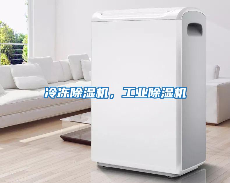 冷凍除濕機，工業除濕機