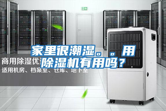 家里很潮濕。。用除濕機有用嗎？