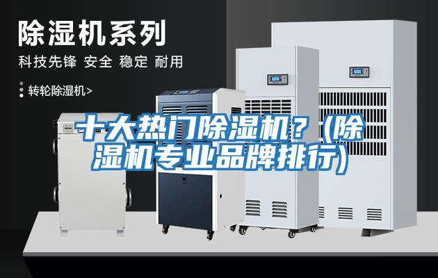 十大熱門除濕機？(除濕機專業品牌排行)