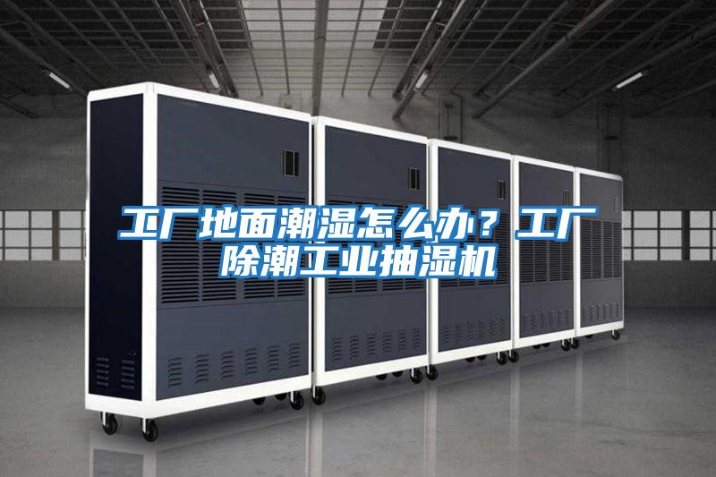 工廠地面潮濕怎么辦？工廠除潮工業抽濕機