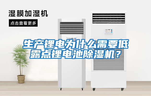 生產(chǎn)鋰電為什么需要低露點(diǎn)鋰電池除濕機(jī)？