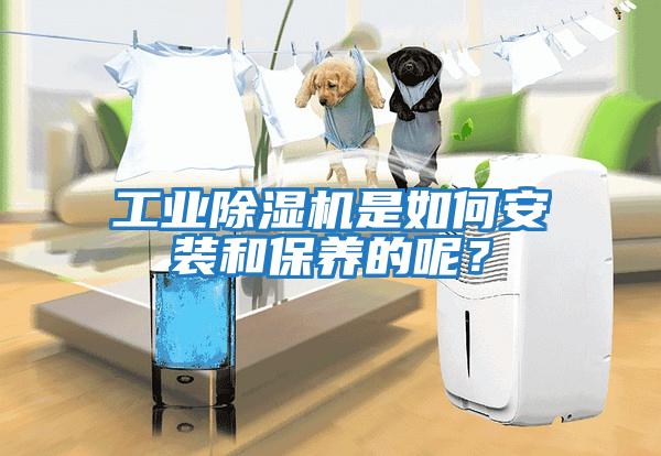 工業除濕機是如何安裝和保養的呢?