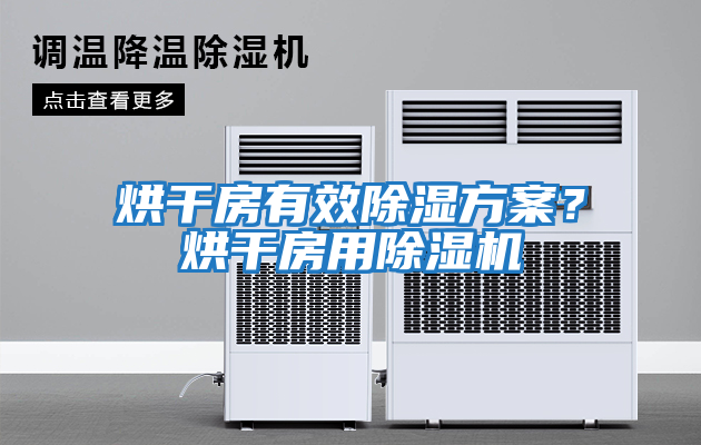 烘干房有效除濕方案？烘干房用除濕機(jī)