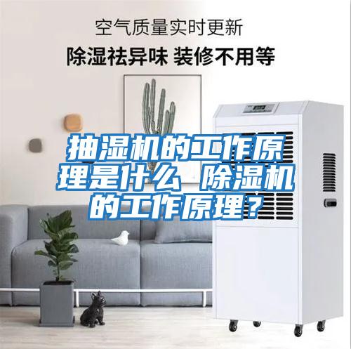 抽濕機的工作原理是什么 除濕機的工作原理？