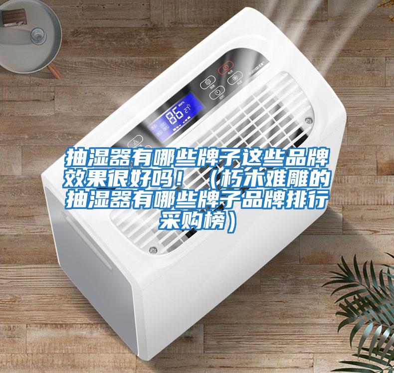 抽濕器有哪些牌子這些品牌效果很好嗎?。ㄐ嗄倦y雕的抽濕器有哪些牌子品牌排行采購榜）