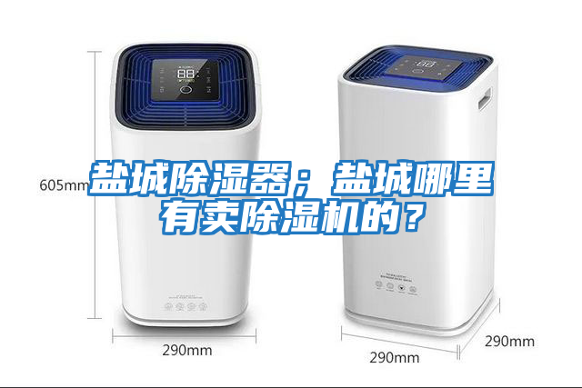 鹽城除濕器；鹽城哪里有賣除濕機(jī)的？