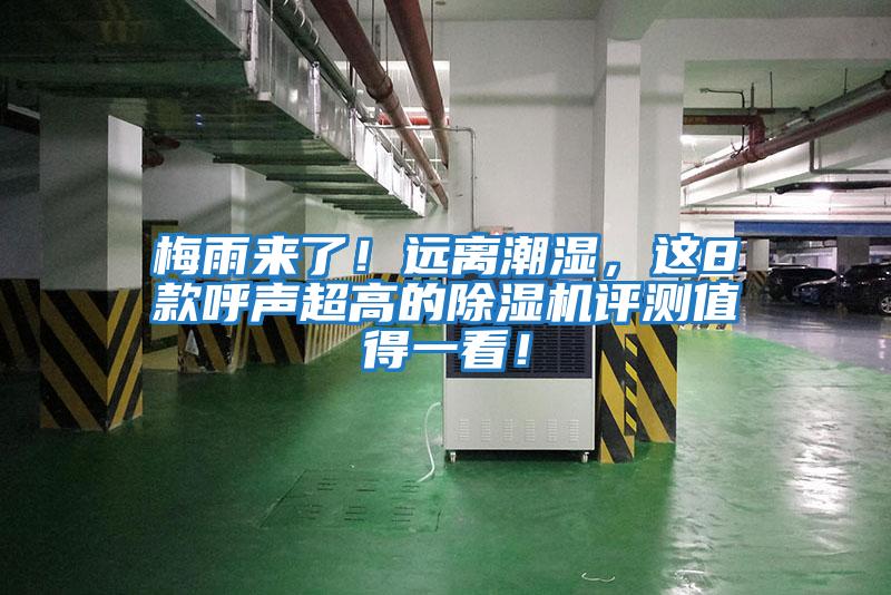 梅雨來了！遠離潮濕，這8款呼聲超高的除濕機評測值得一看！