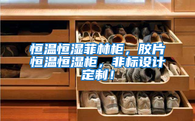 恒溫恒濕菲林柜，膠片恒溫恒濕柜，非標設(shè)計定制！