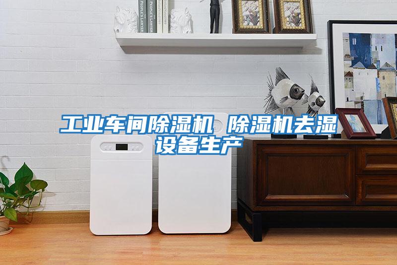 工業(yè)車間除濕機 除濕機去濕設備生產(chǎn)