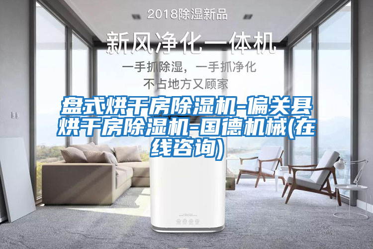 盤式烘干房除濕機(jī)-偏關(guān)縣烘干房除濕機(jī)-國德機(jī)械(在線咨詢)