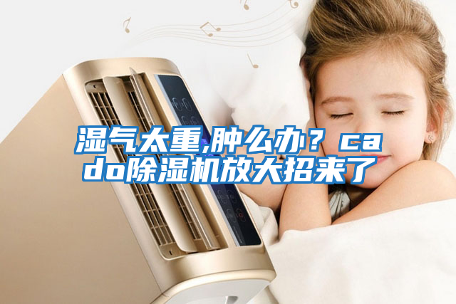 濕氣太重,腫么辦？cado除濕機放大招來了