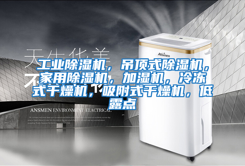 工業(yè)除濕機(jī)，吊頂式除濕機(jī)，家用除濕機(jī)，加濕機(jī)，冷凍式干燥機(jī)，吸附式干燥機(jī)，低露點(diǎn)