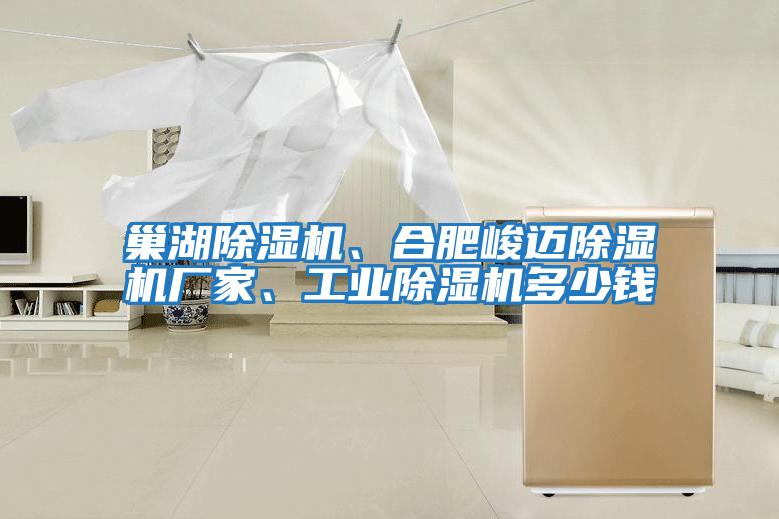 巢湖除濕機、合肥峻邁除濕機廠家、工業(yè)除濕機多少錢