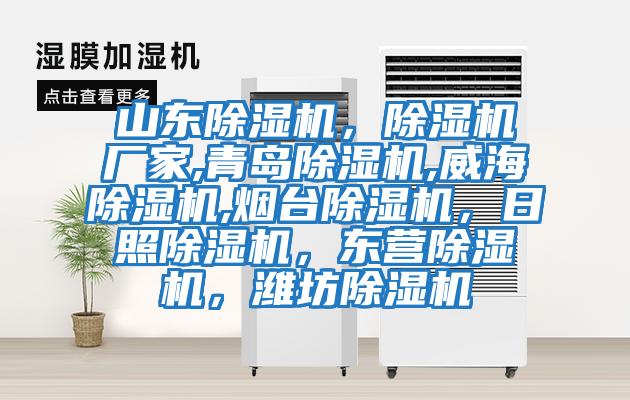 山東除濕機，除濕機廠家,青島除濕機,威海除濕機,煙臺除濕機，日照除濕機，東營除濕機，濰坊除濕機