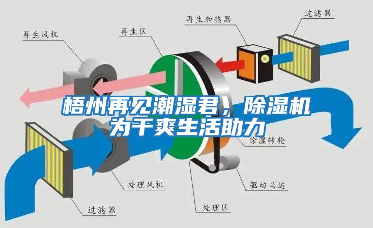 梧州再見潮濕君，除濕機為干爽生活助力